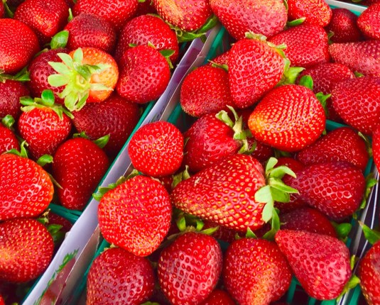 imageedit_5_9835441969