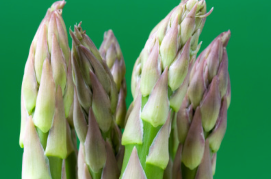 Screen Shot 2014-11-26 at 3.18.16 PM